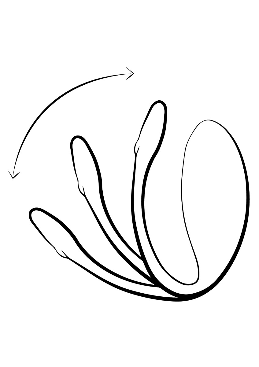 Ou Vibrator Wearable We Vibe Jive Free App Roz , #10, Erotic24.ro