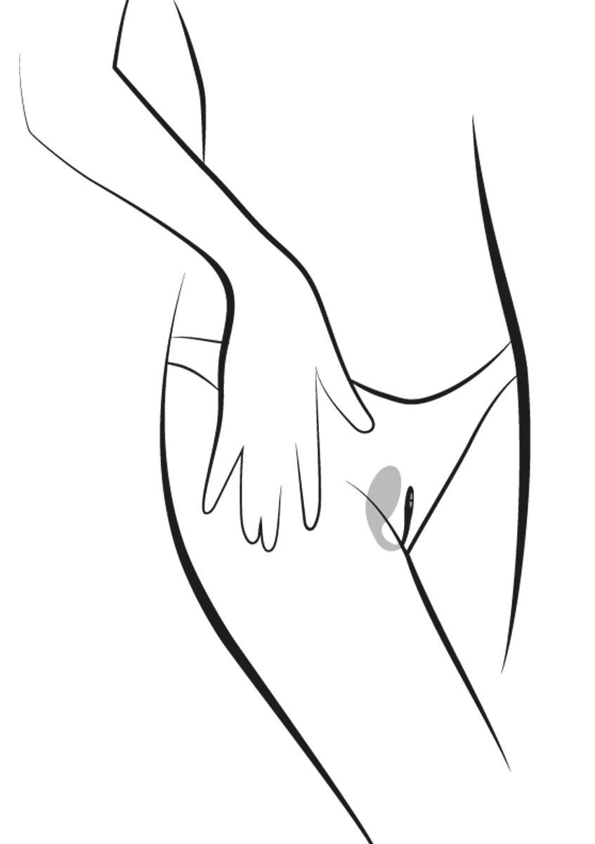 Ou Vibrator Wearable We Vibe Jive Free App Roz , #9, Erotic24.ro