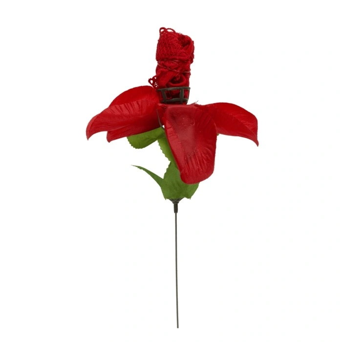 Set Trandafir si Bikini Sexy, Rosu, #4, Erotic24.ro