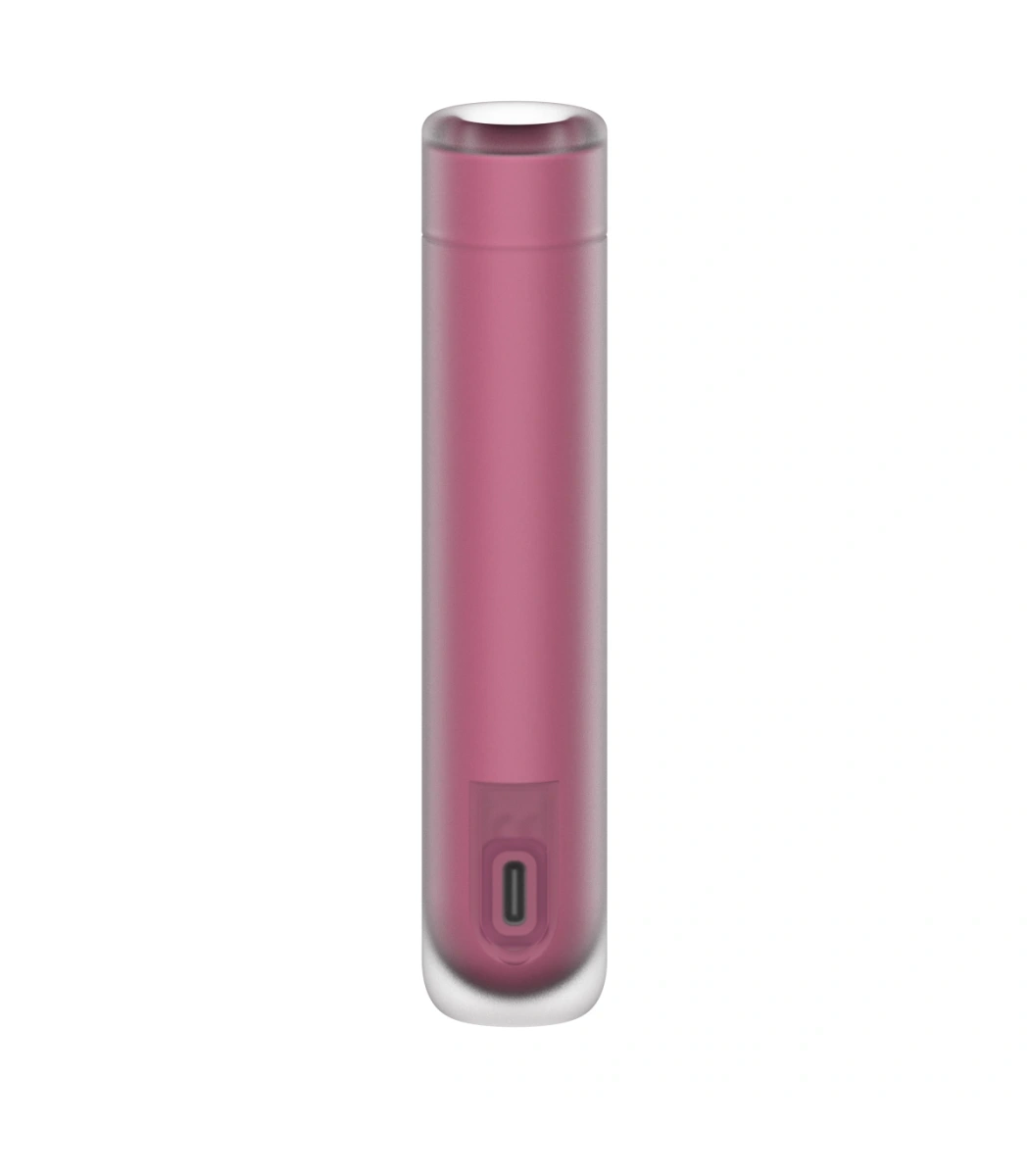 Vibrator First Kiss, 30 Programe Suctiune, USB, Burgundy, 14.5 cm, #4, Erotic24.ro