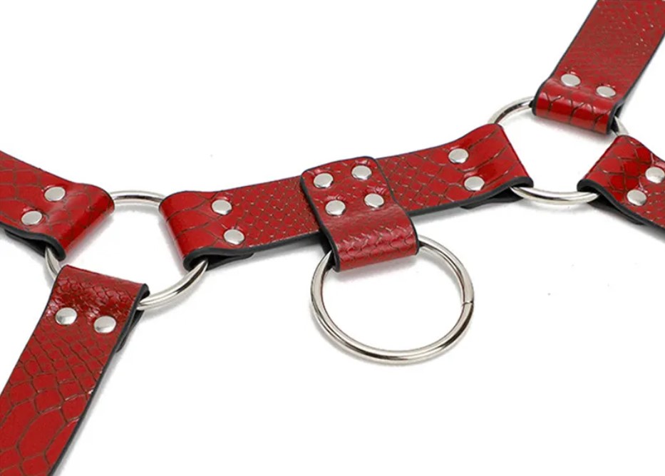 Sistem Chest Harness pentru Barbati, Rosu, S-L, JGF Lingerie, #4, Erotic24.ro