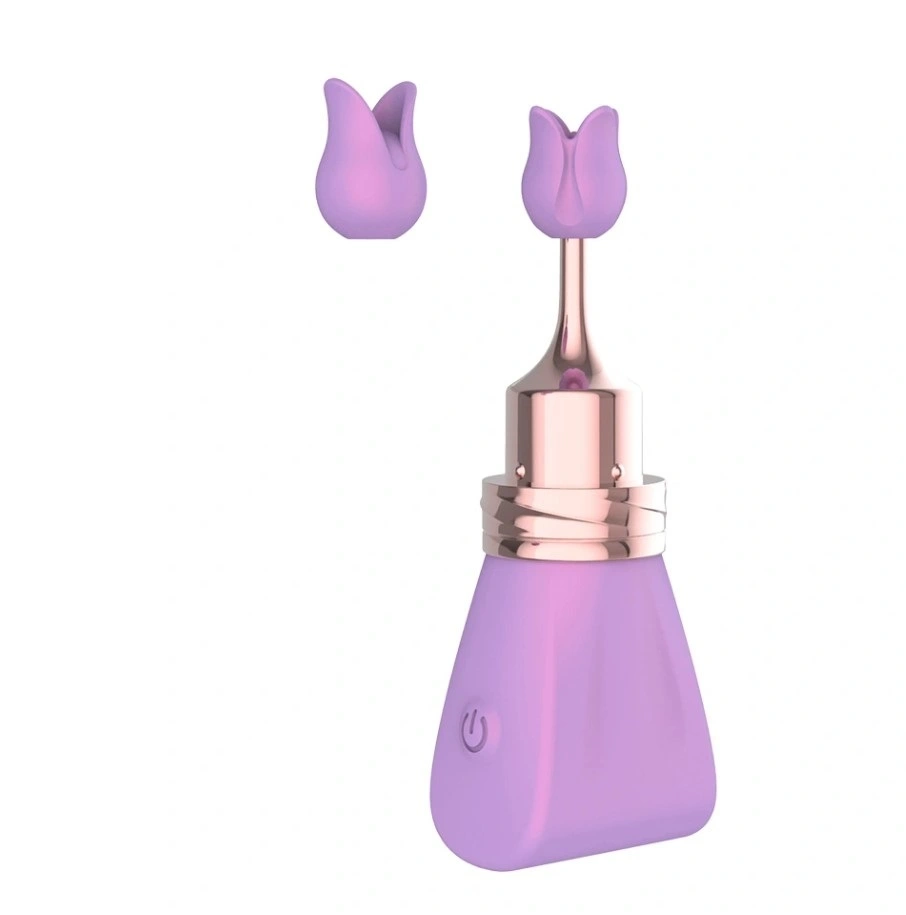 Mini Vibrator Lilac Bow cu 2 Accesorii Interschimbabile, 10 Moduri Vibratii, Silicon, ABS, USB, Lila, 8.8 cm, Guilty Toys, #1, Erotic24.ro