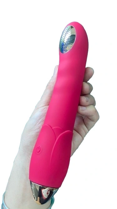 Vibrator si Irigator, 10 Moduri Vibratii, Silicon, USB, Rosu, 20 cm, Guilty Toys, Nr. 6, Erotic24.ro