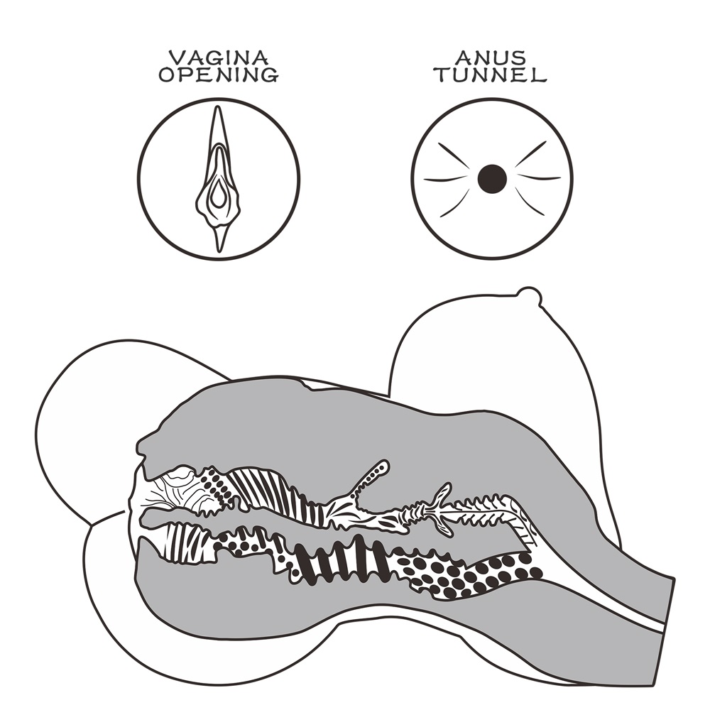 Masturbator Streetgirls #6 Pussy&Anus, Natural, 5 kg, #7, Erotic24.ro