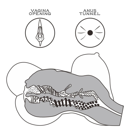 Masturbator Streetgirls #6 Pussy&Anus, Maro, 5 kg, #6, Erotic24.ro