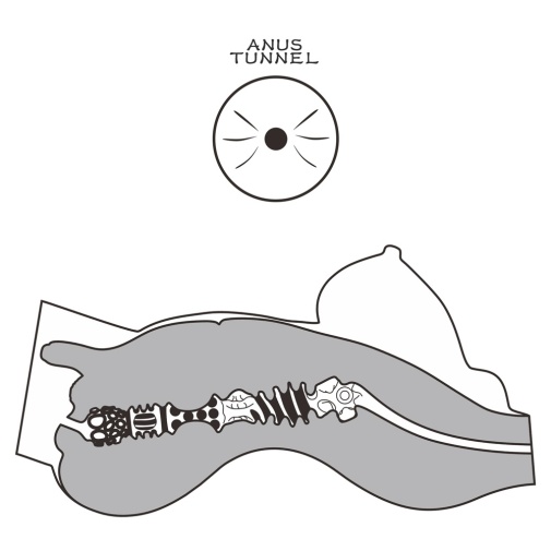 Masturbator Anus Streetgirls #8 Transexual, Natural, 6.3 kg, Nr. 10, Erotic24.ro