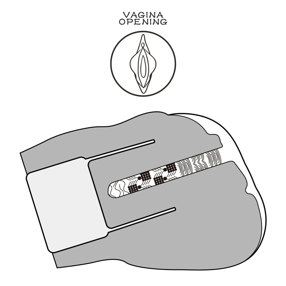 Masturbator Streetgirl's Sensation Pulse, Natural, 2.86 kg, #13, Erotic24.ro