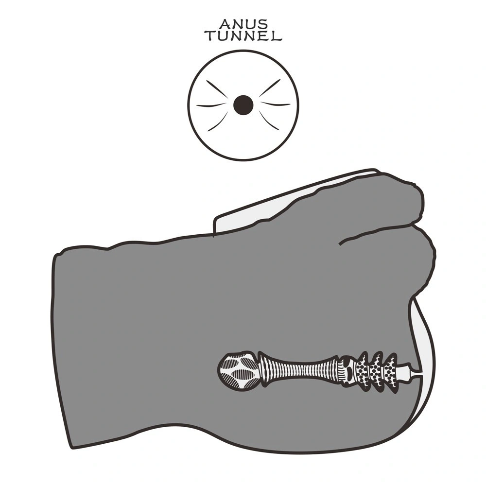 Masturbator Anus Streetgirls #16 cu Dildo, Natural, 4 kg, #2, Erotic24.ro