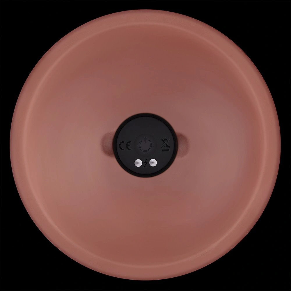 Vibrator Realist Power Cock, 10 Moduri Vibratii, PVC Dubla Densitate, USB Magnetic, Natural, 15.2 cm, #6, Erotic24.ro