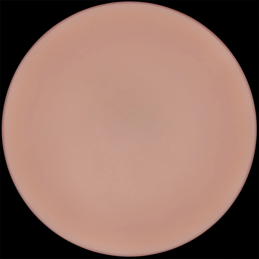 Dildo Realist Sliding-Skin PRO II, Silicon Dubla Densitate, Natural, 22.7 cm, #8, Erotic24.ro