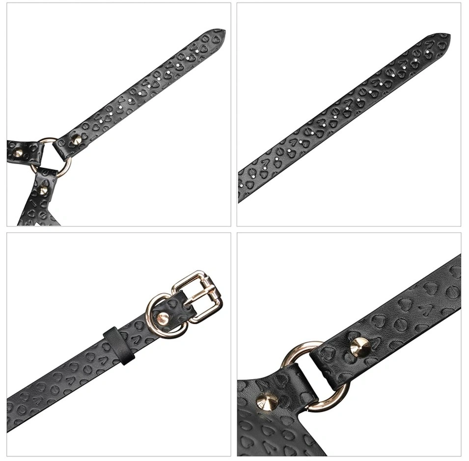 Masca Rebellion Reign Dark Bunny, Negru/Auriu, #5, Erotic24.ro