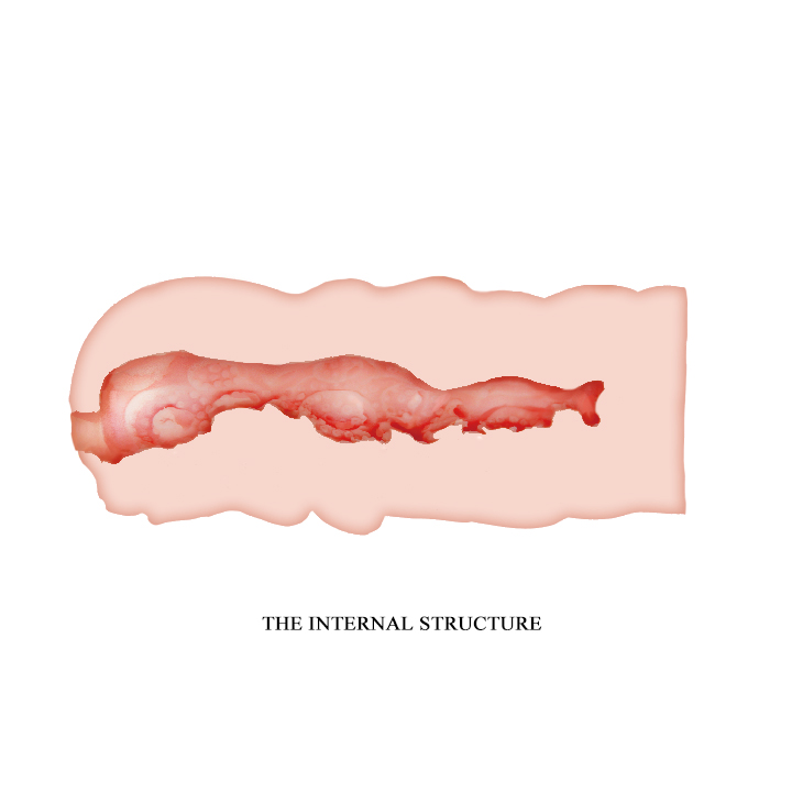 Masturbator Crazy Bull Isabel, TPR, Natural, 13.5 cm, Nr. 4, Erotic24.ro