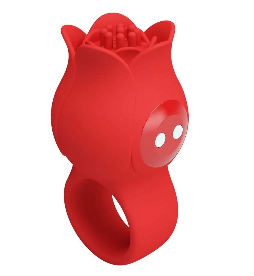 Mini Vibrator Jae, 10 Moduri Vibratii, Silicon, Incarcare Magnetica, Rosu, Nr. 4, Erotic24.ro