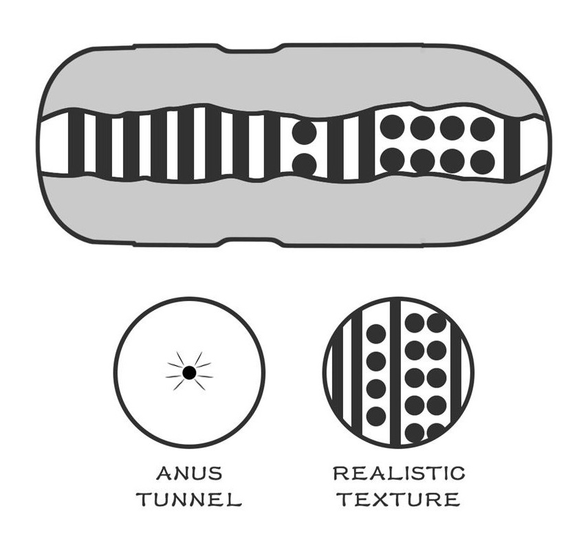 Masturbator Lotus Sex in A Can Anus  , #4, Erotic24.ro