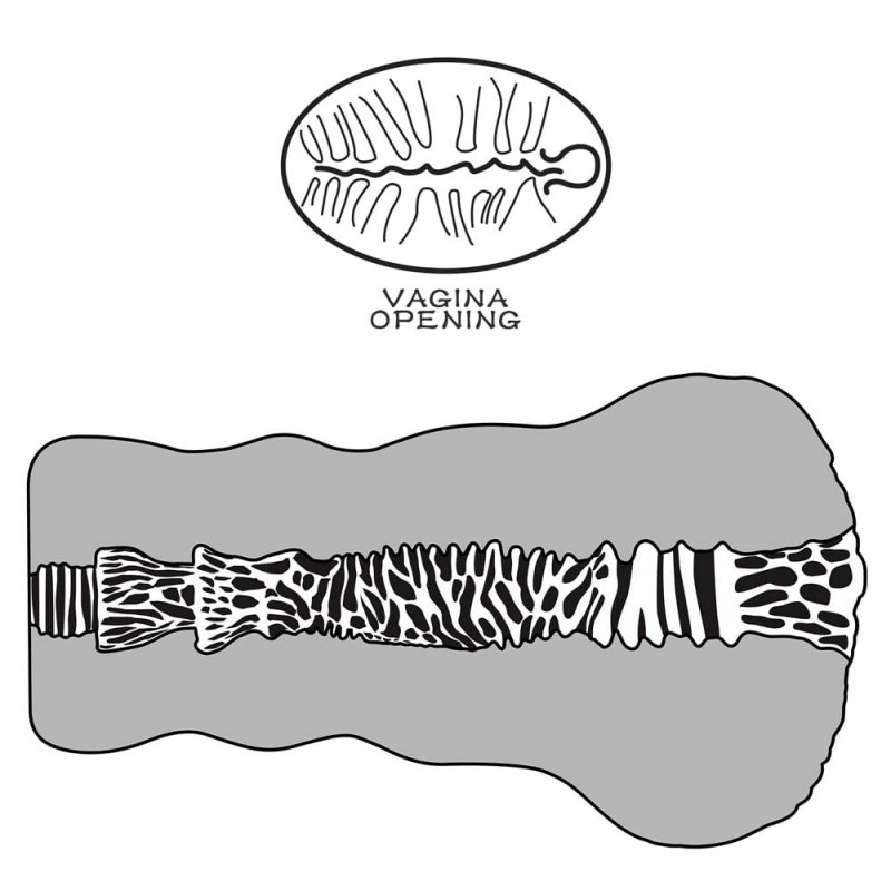 Masturbator Alien's Pie #2, Soft Material, Natural , Nr. 8, Erotic24.ro