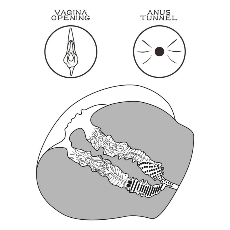 Masturbator Streetgirl's #12 Pussy&Anus, Natural, 2.65 kg, #9, Erotic24.ro