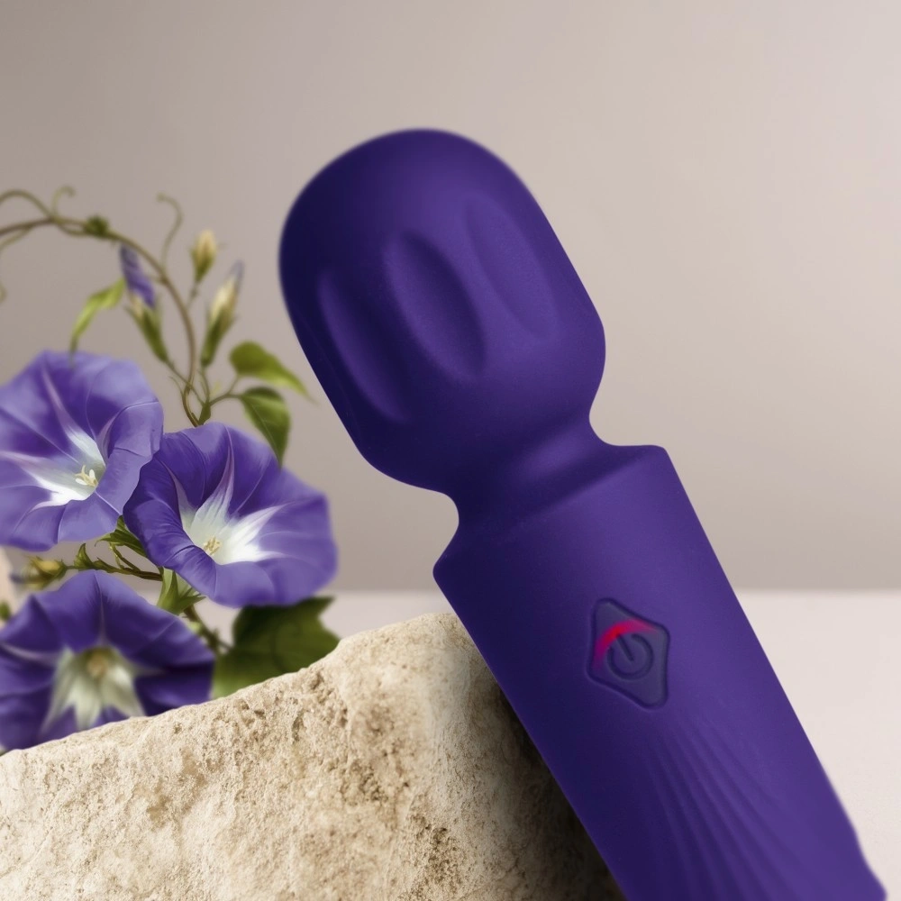 Vibrator Mini Wand Violet Dream, 16 Moduri Vibratii, Silicon, USB, Mov, 11.5 cm, #5, Erotic24.ro