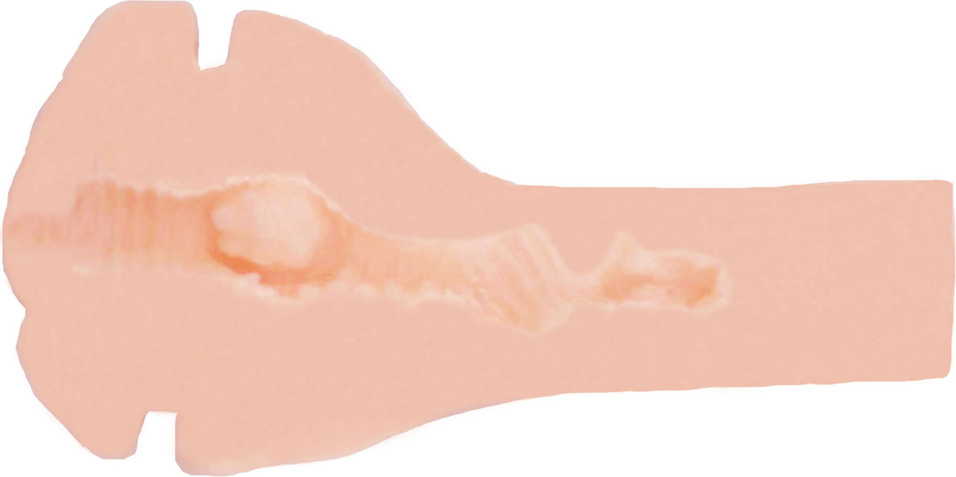 Masturbator Pussy Original Vacuum Cup, #2, Erotic24.ro