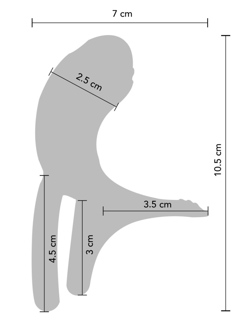 Inel de Penis pentru Cupluri Xocoon Remote Control Silicon Mov USB, #6, Erotic24.ro