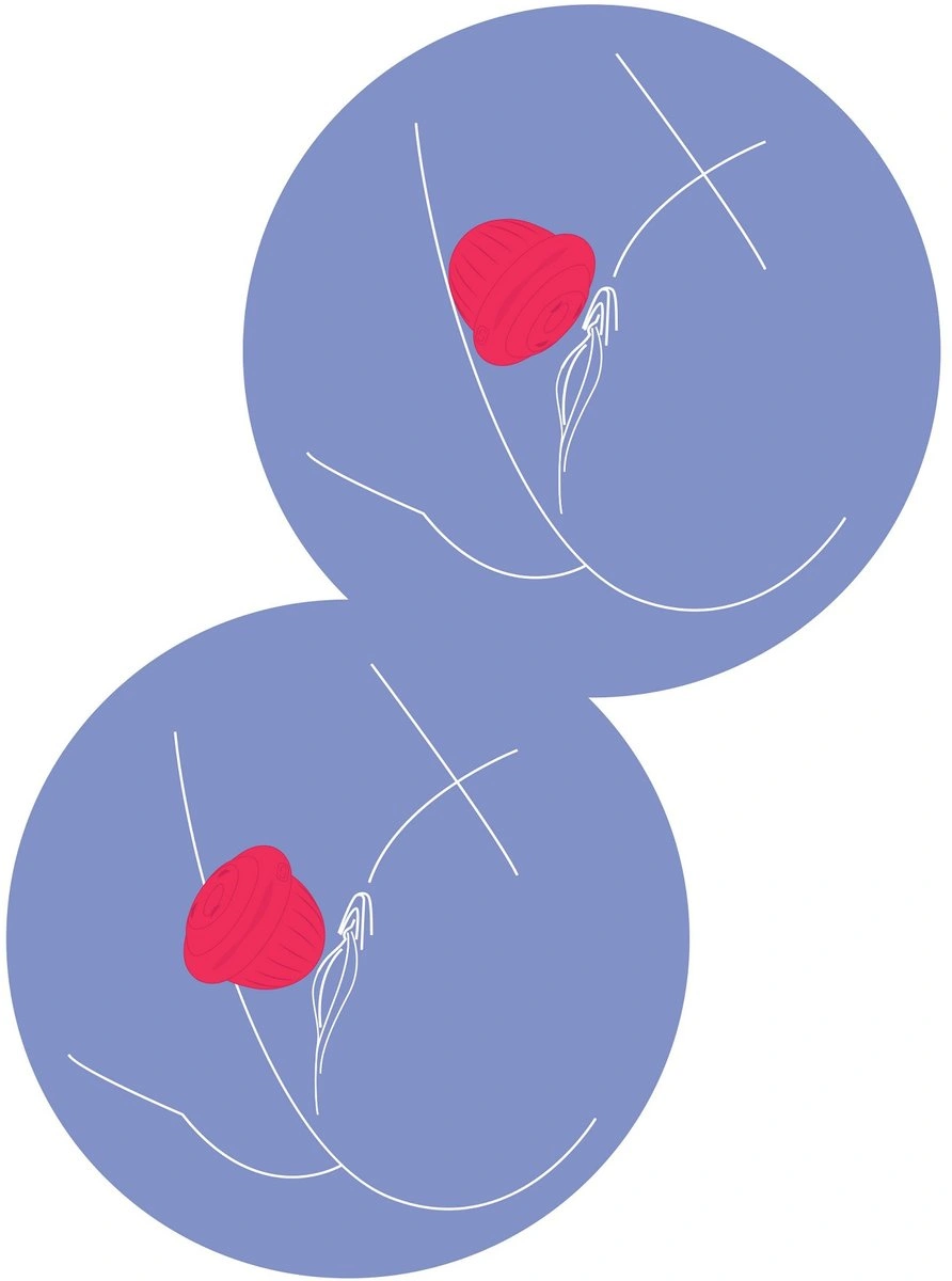 Stimulator Clitoris Xocoon Pearl Pulse Rotating and Vibrating, Silicon, USB, Rosu, 6.5 cm, #7, Erotic24.ro