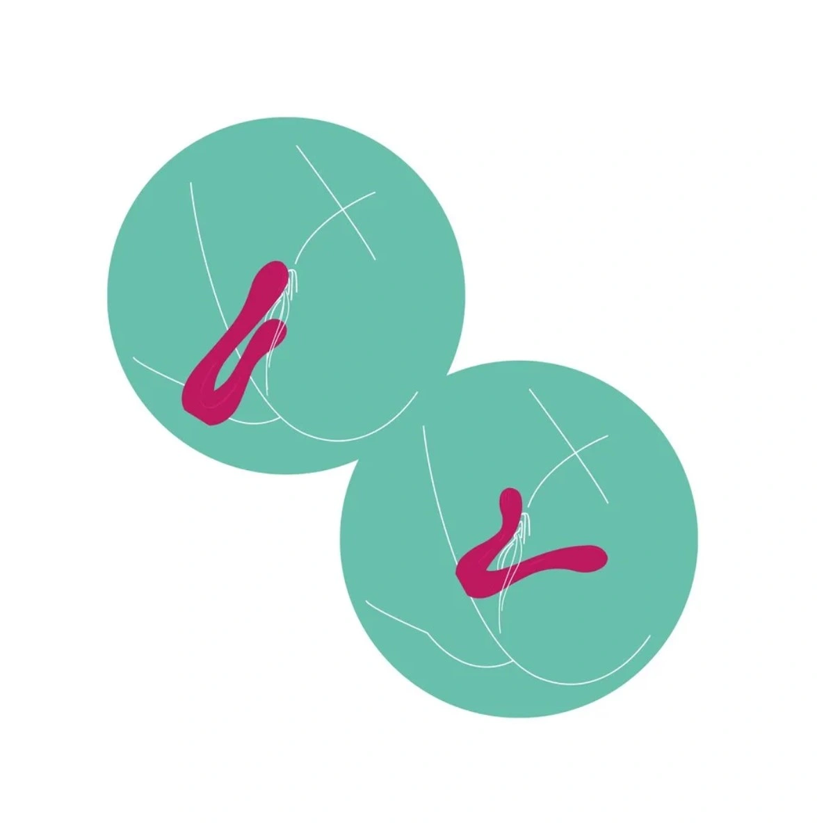 Vibrator Xocoon Sync Sensation, 10 Moduri Vibratii, Silicon, USB, Roz, 18.5 cm, #7, Erotic24.ro