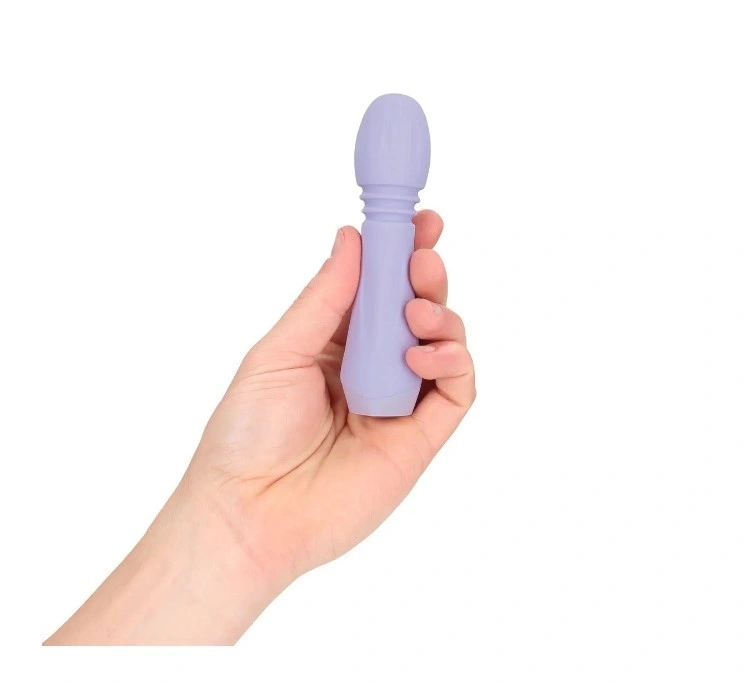 Vibrator Flexible Mini Wand, 10 Moduri Vibratii, Silicon, USB, Mov, 13.5 cm, Nr. 4, Erotic24.ro