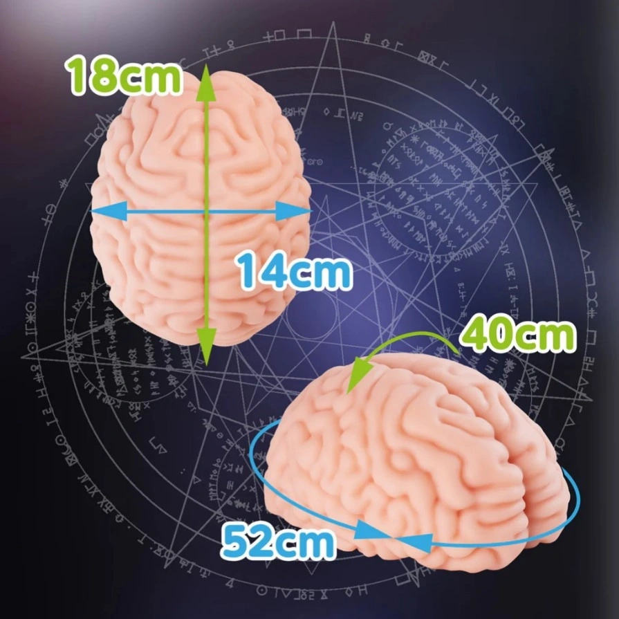 Masturbator Brain Hacker DX, TPE, Natural, 1.2 kg, #2, Erotic24.ro