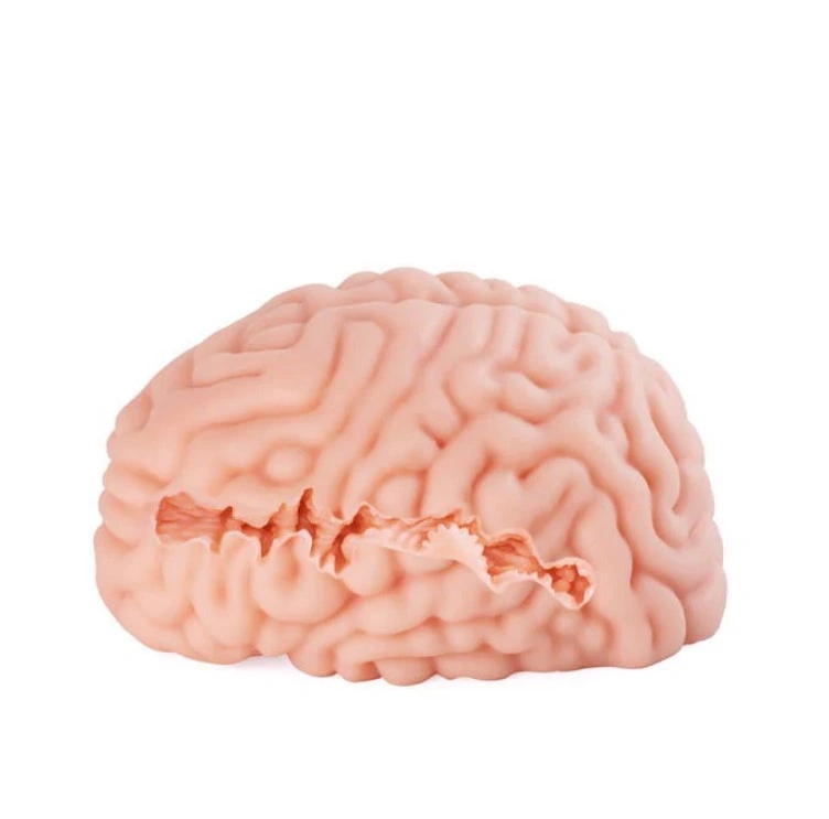 Masturbator Brain Hacker DX, TPE, Natural, 1.2 kg, #7, Erotic24.ro