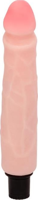 Vibrator The Realistic Cock, Multispeed, TPE, Natural, 25.5 cm, #2, Erotic24.ro